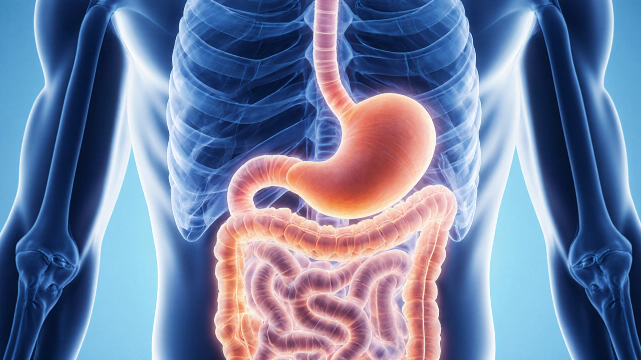 Epigastric Pain Explained: Causes, Symptoms & Treatment Guide